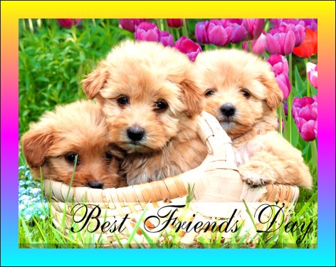 Happy Best Friends Day Wishes Idea