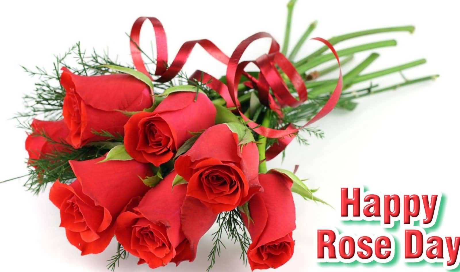 Happy National Rose Day