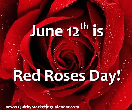 June 12th Is National Red Rose Day
