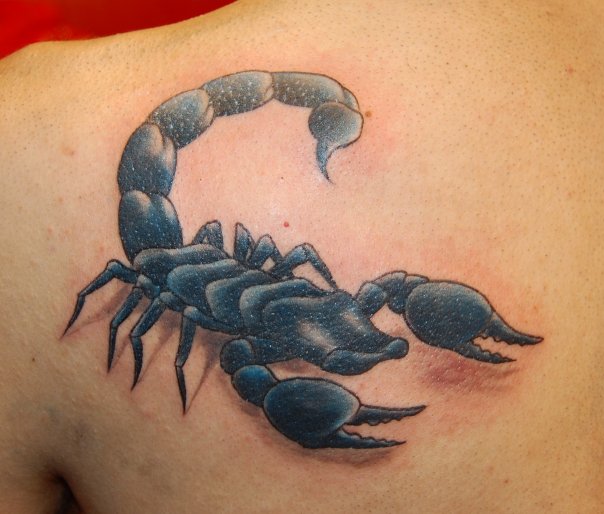 Light Blue and Scorpion Tattoo On Left Back Shoulder