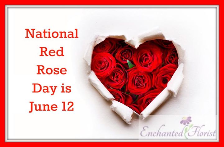 National Red Rose Day Is June 12