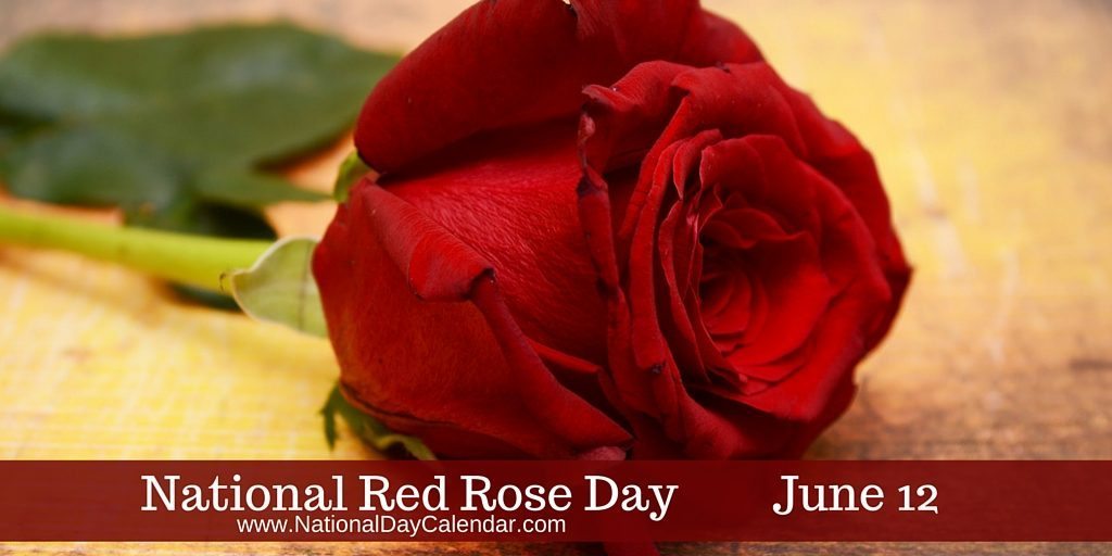 National Red Rose Day June 12