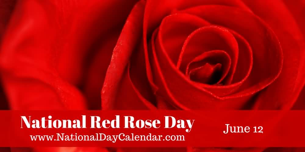 National Red Rose Day Wishes