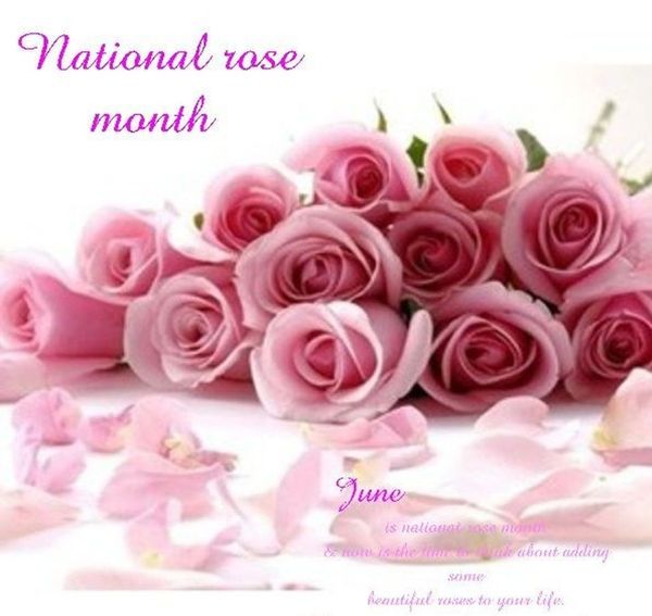 National Rose Month - Happy Rose Day