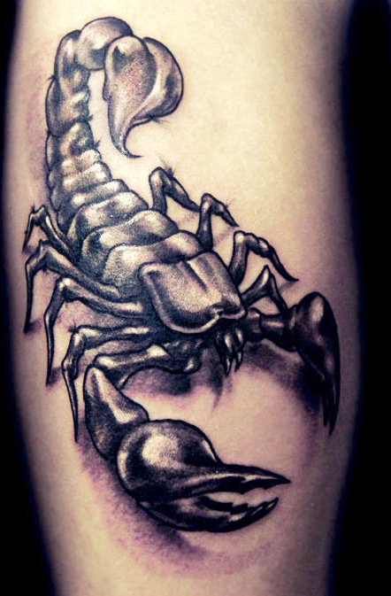 Nice Grey And Black Scorpion Tattoo On Leg by Strangeries