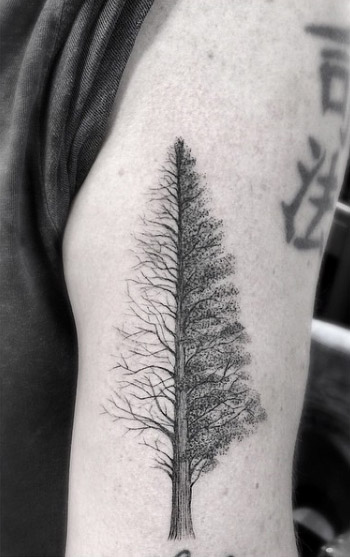 Nice Grey Dotwork Tree Tattoo On Left Bicep