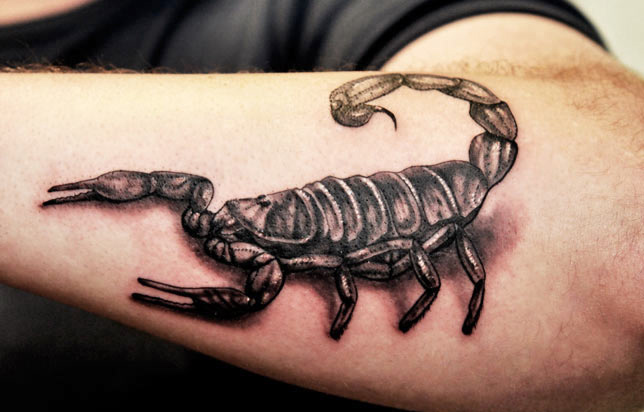 Nice Grey and Black Scorpion Tattoo On Left Arm