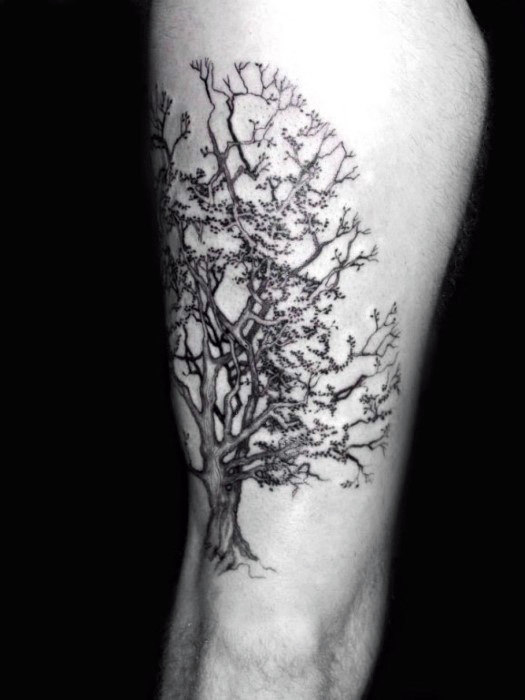 Oak Tree Tattoo On Arm Sleeve