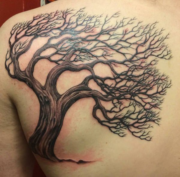 Oak Tree Tatoo On Left Back Shoulder