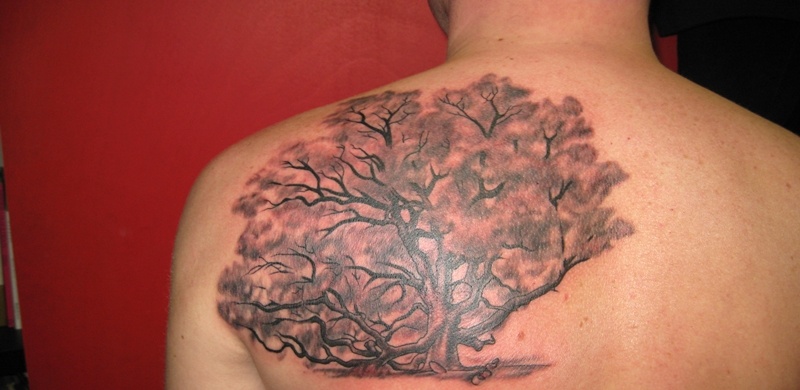 Oak Tree Tattoo On Man Left Back Shoulder