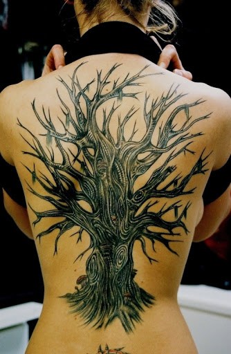 Oak Tree Without Leaves Tattoo On Full Back