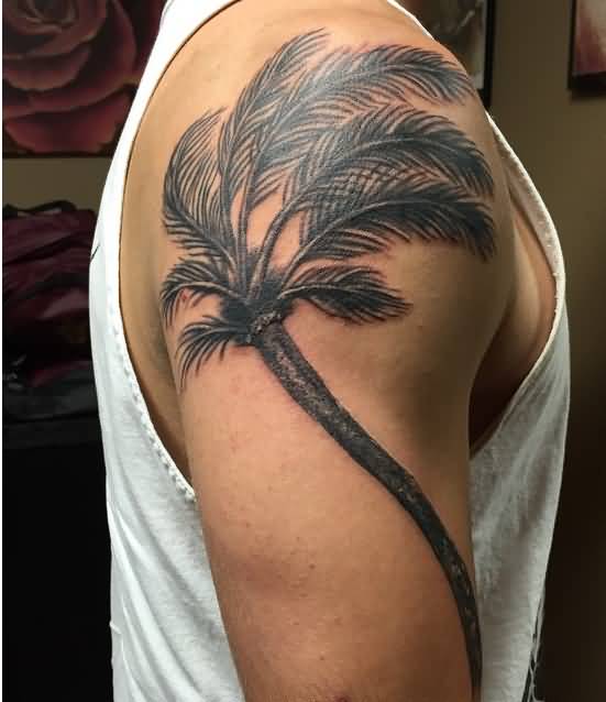 Palm Tree Tattoo On Right Shoulder
