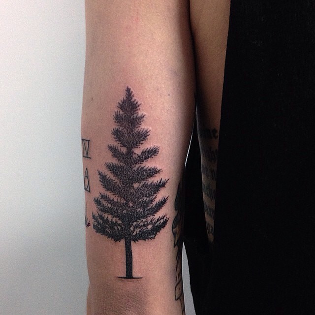 Pine Tree Tattoo On Bicep