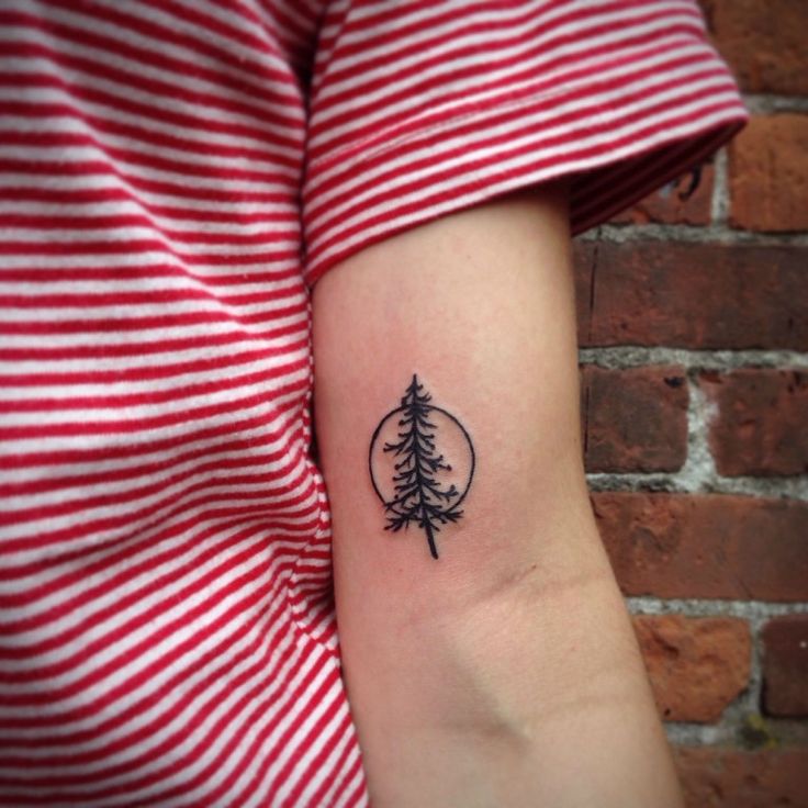 Pine Tree Tattoo On Inner Bicep