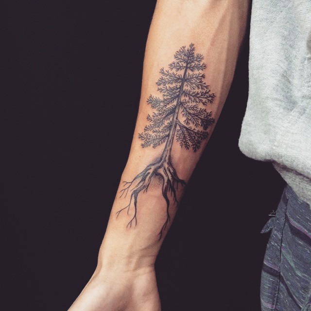 Pine Tree Tattoo On Right Forearm