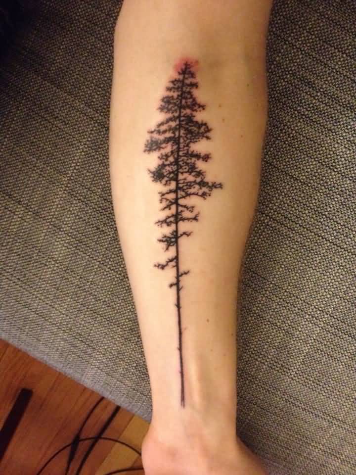 Pine Tree Tattoos On Left Forearm