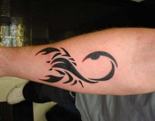 Girly Scorpion Tattoos On Arm Scorpion Tattoo On Arm | Scorpions Tattoo | Pinterest | Men And