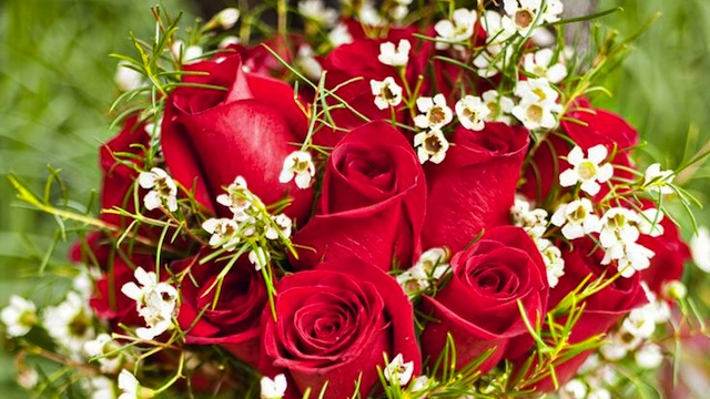 Red Rose Day Beautiful Flower Boquet