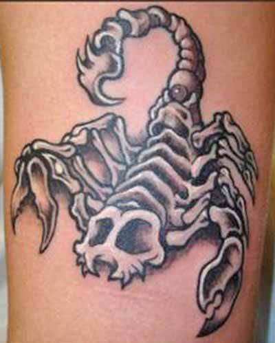 Scorpion Skeleton Tattoo On Left Bicep