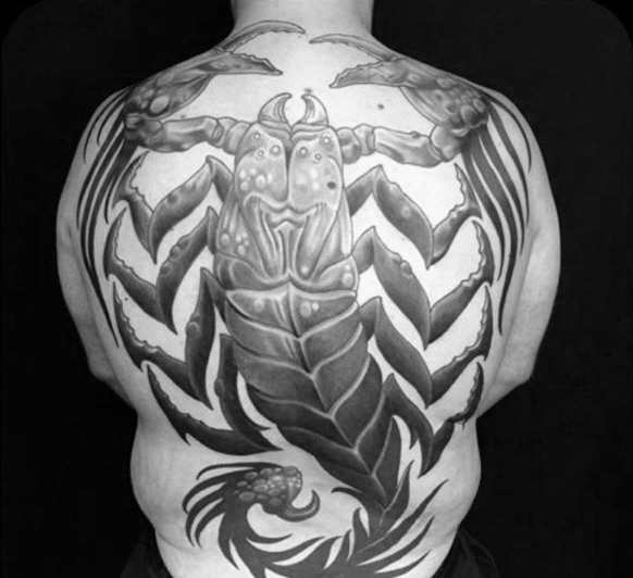 Scorpion Tattoo On Man Full Back