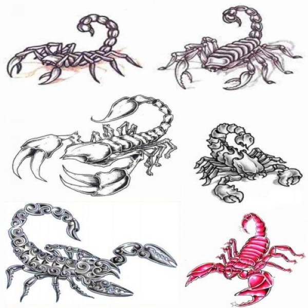 Scorpion Tattoos Designs Sample