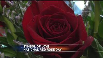 Symbol Of Love National Red Rose Day