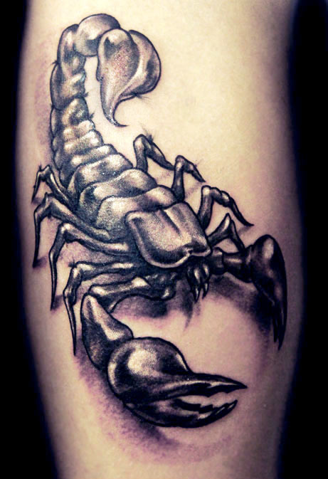 White and Black Ink Scorpion Tattoo On Arm by Strangeris