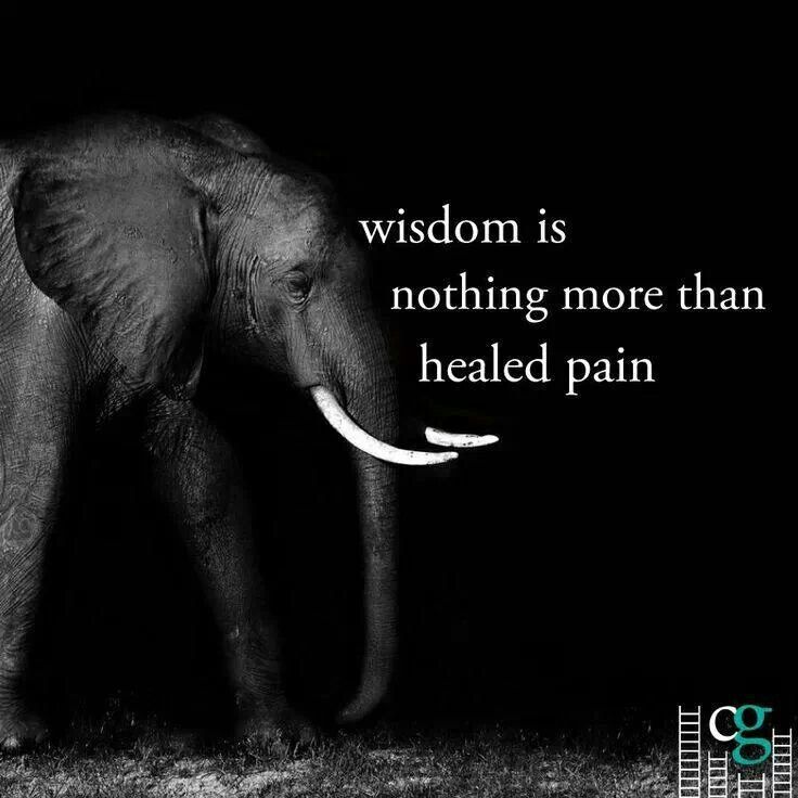 Wisdom is nothing more than healed pain.
