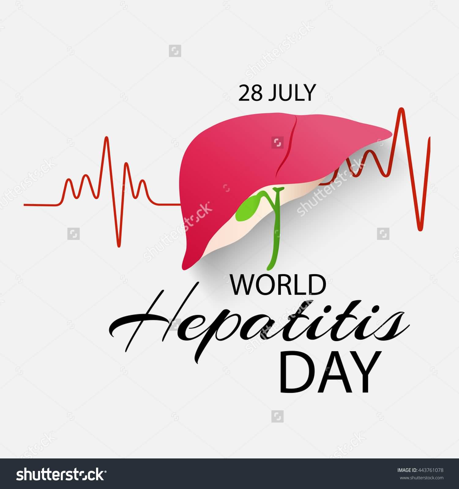 28 July World Hepatitis Day Liver And Heart Beat Illustration