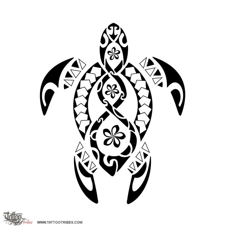 Amazing Black Turtle Tattoo Design