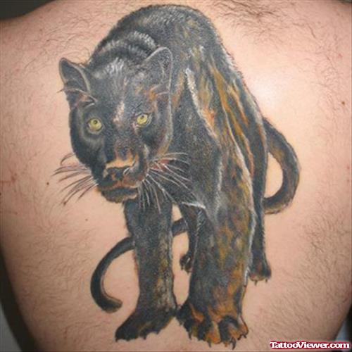 Amazing Panther Tattoo On Back Body