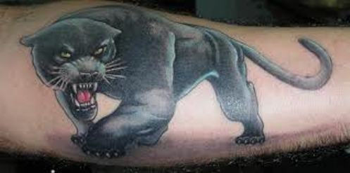 Angry Panther Tattoo On Arm