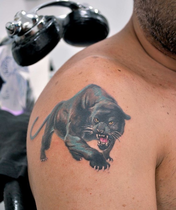 Angry Panther Tattoo On Man Right Shoulder