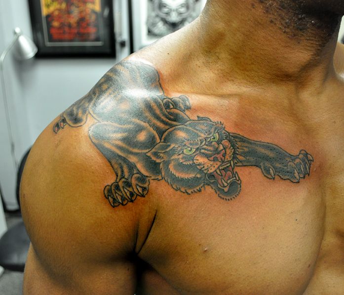 Angry Panther Tattoo On Man Upper Shoulder