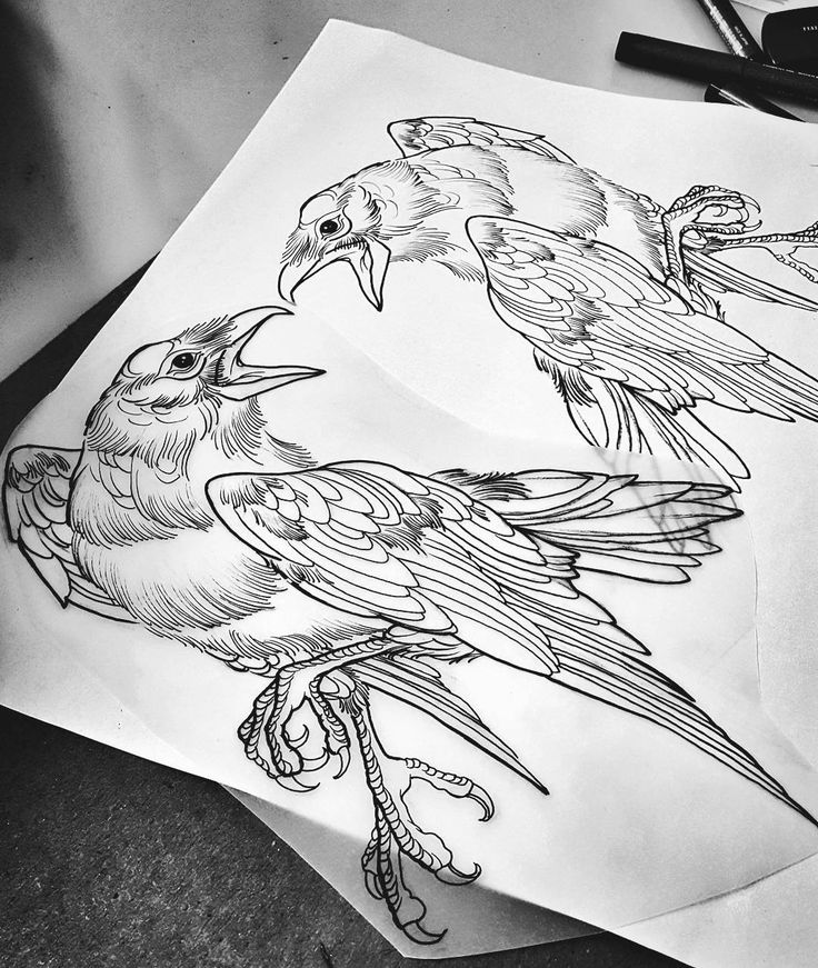 Angry Raven Tattoos Designs