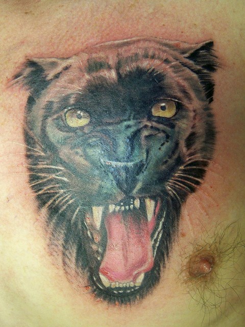 Angry Realistic Panther Tattoo On Man Chest