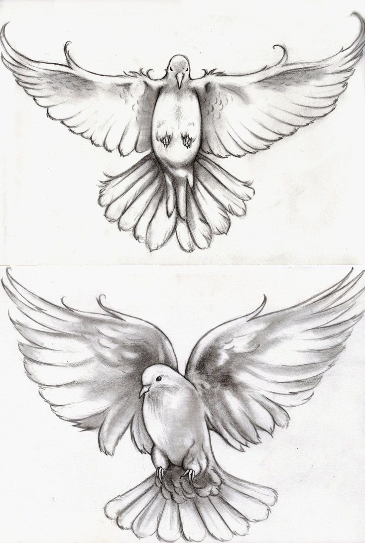 Awesome Flying Dove Tattoos Design