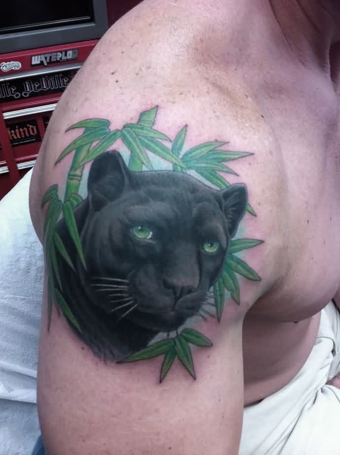 Bamboo Trees And Realistic Panther Tattoo On Right Shoulder