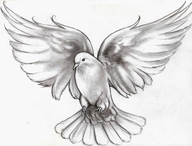 Black And Grey Flying Dove Tattoo Design