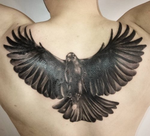 Black And Grey Raven Tattoo On Man Upper Back