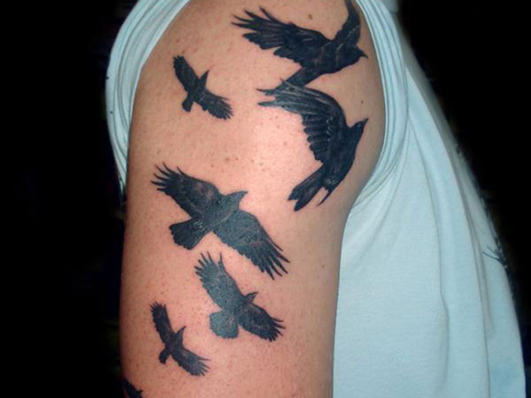 Black Flying Raven Tattoos On Right shoulder