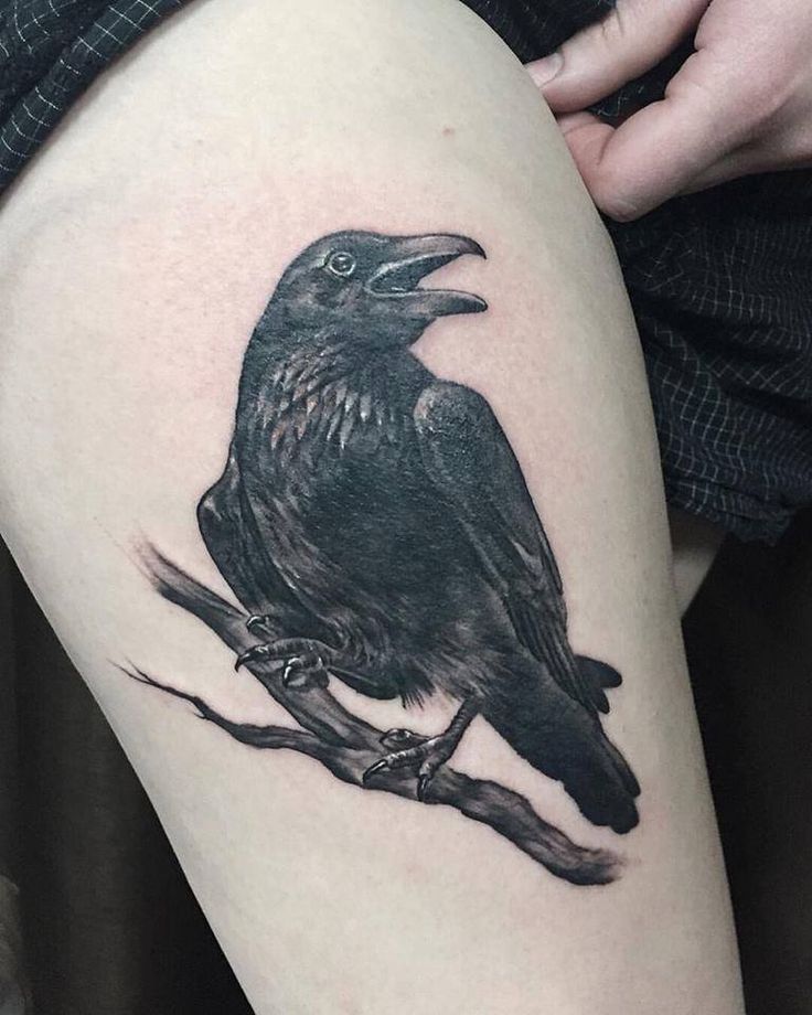 Black Ink Raven Tattoo On Right Thigh