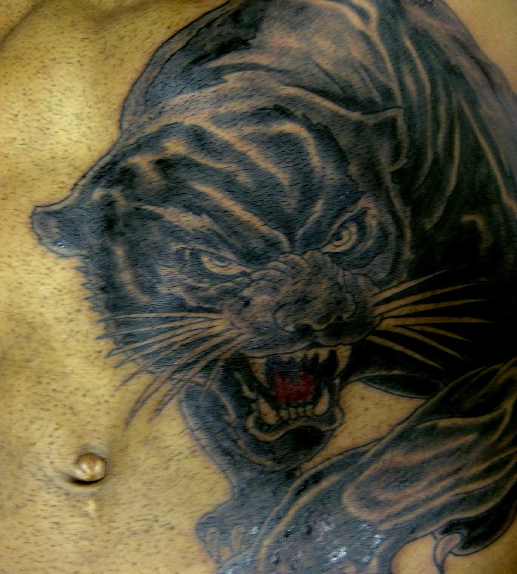 Blue Ink Angry Panther Tattoo On Stomach