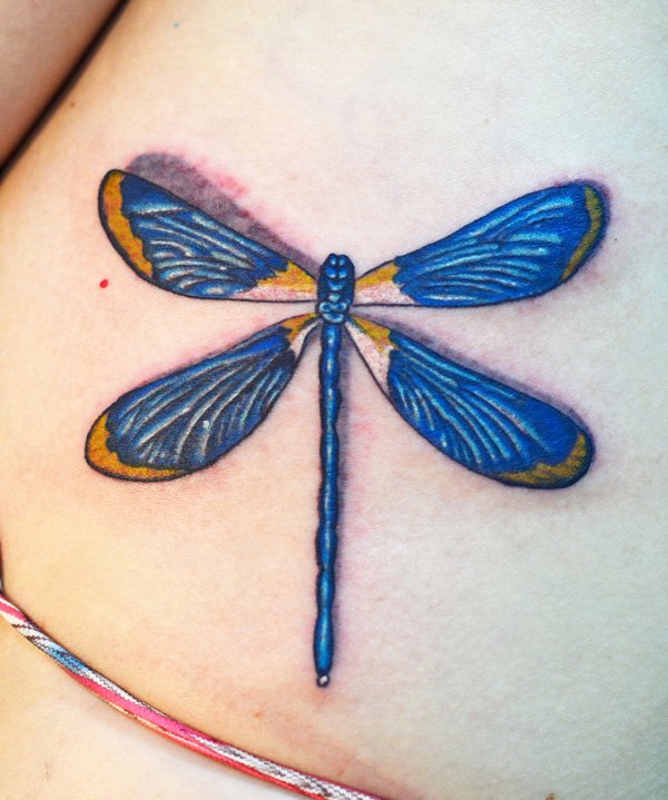 Blue Ink Dragonfly Tattoo On Side Rib