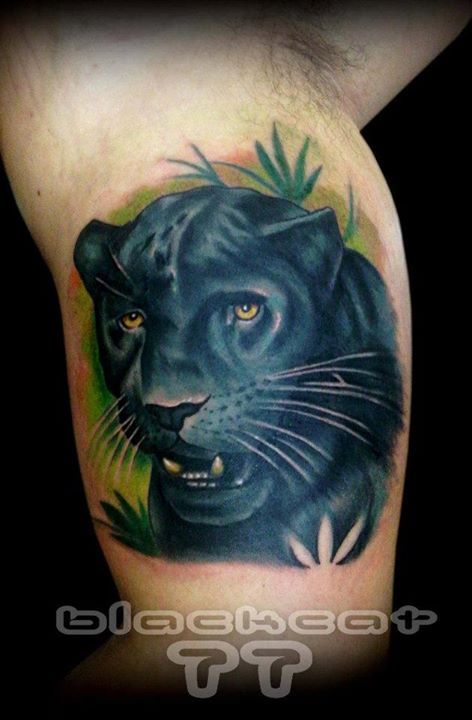 Blue Ink Panther Head Tattoo On Bicep