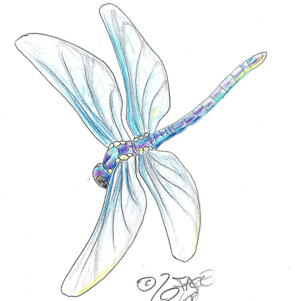 Blue Tribal Dragonfly Tattoo Design