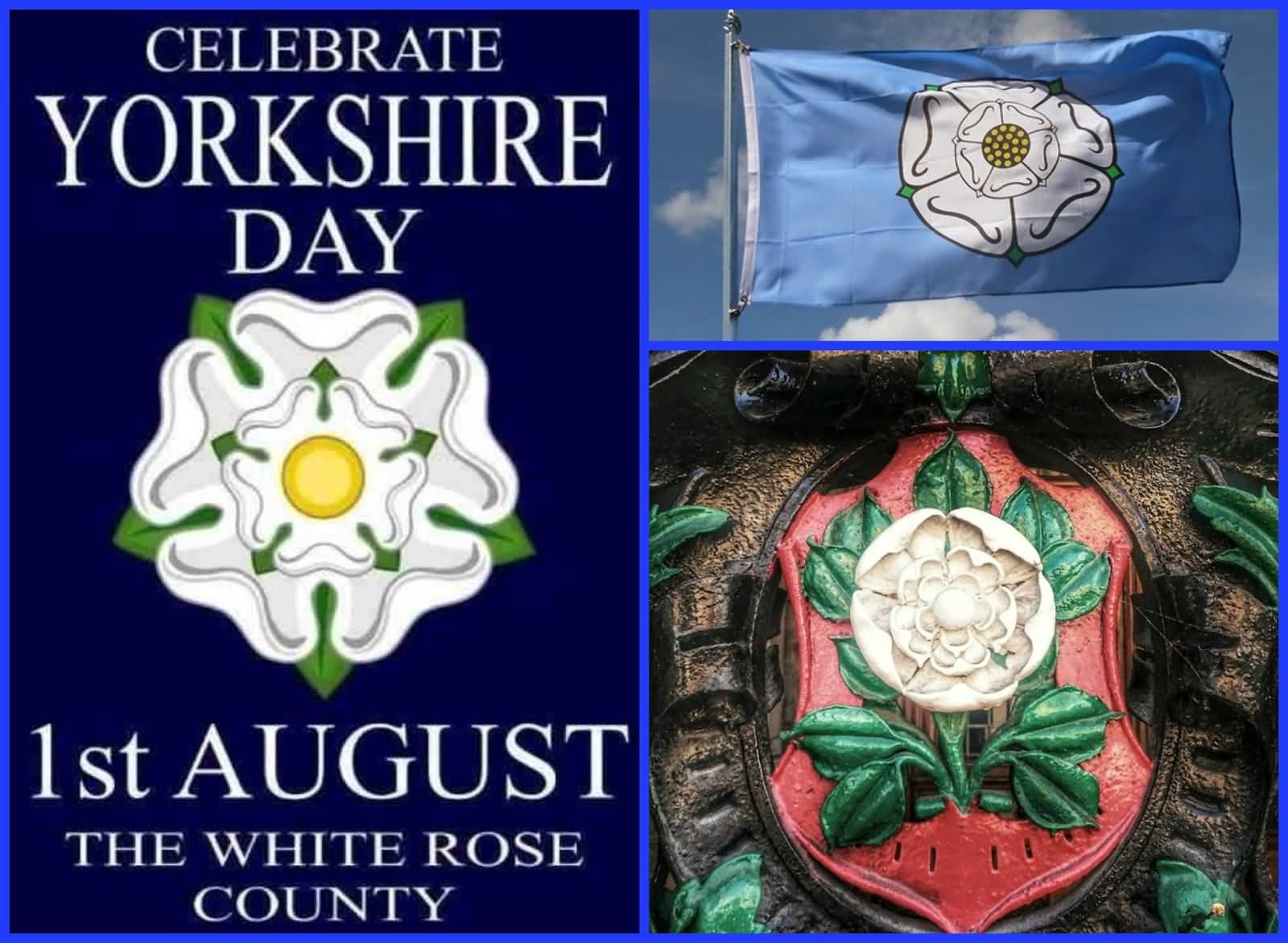 Celebrate Yorkshire Day 1st August The White Rose County