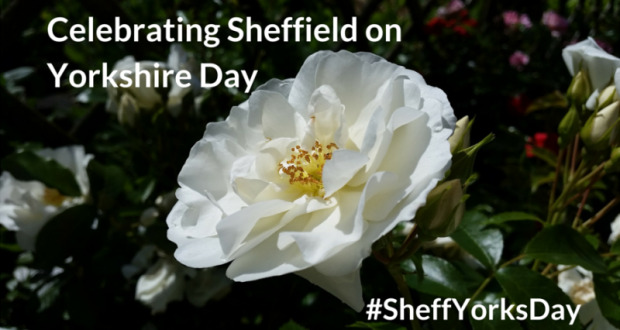 Celebrating Sheffield On Yorkshire Day  Beautiful Flower In Background