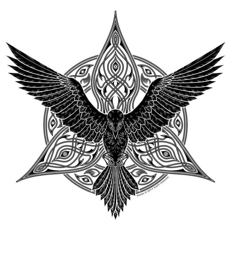 Celtic Raven Tattoo Design