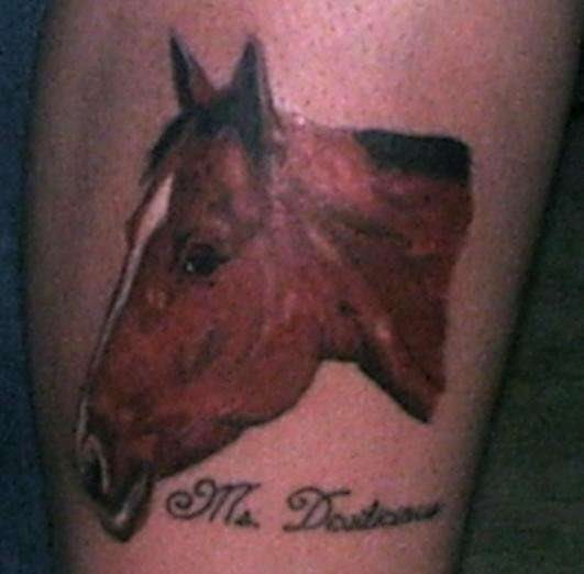Color Ink Horse Head Tattoo